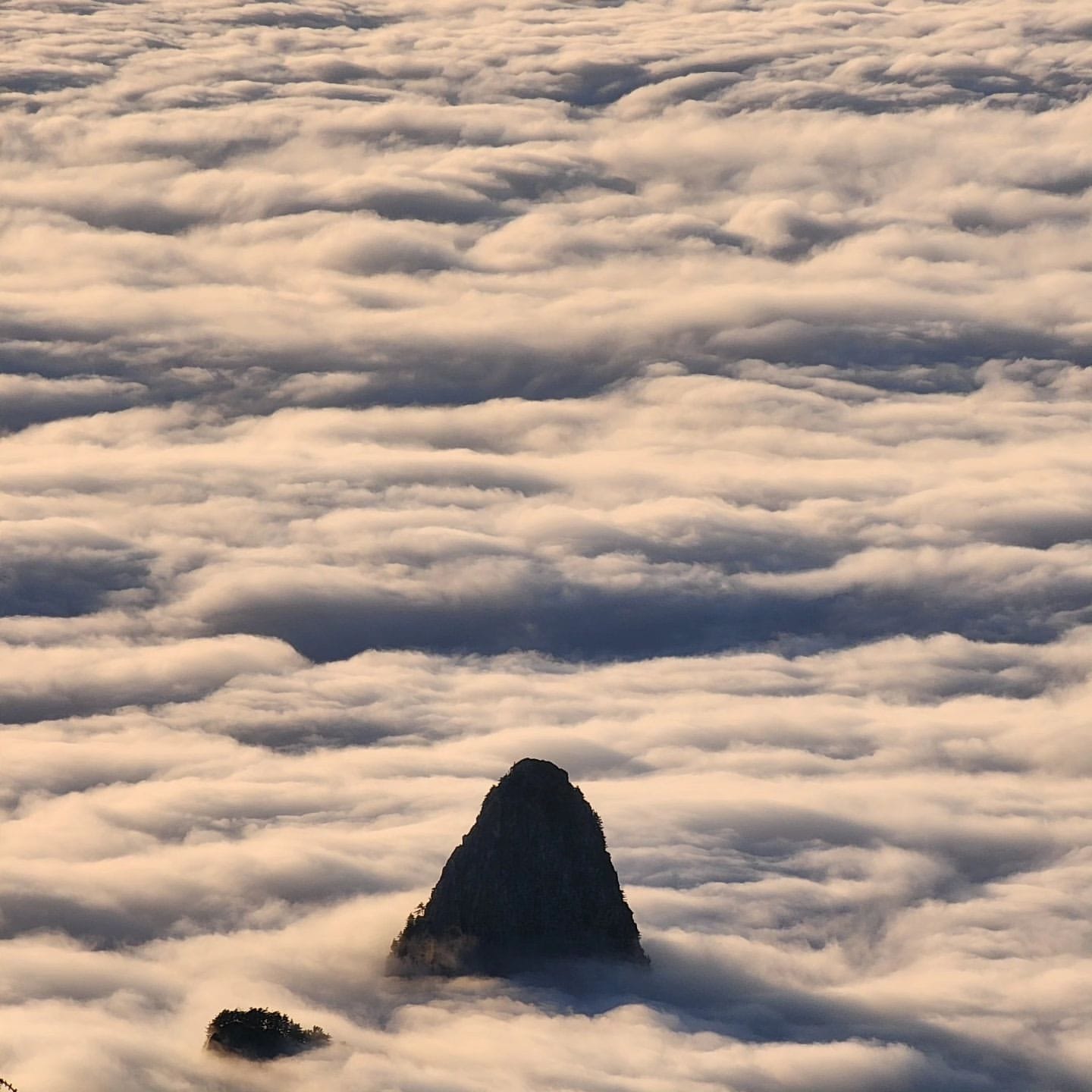 울릉기행, 설국