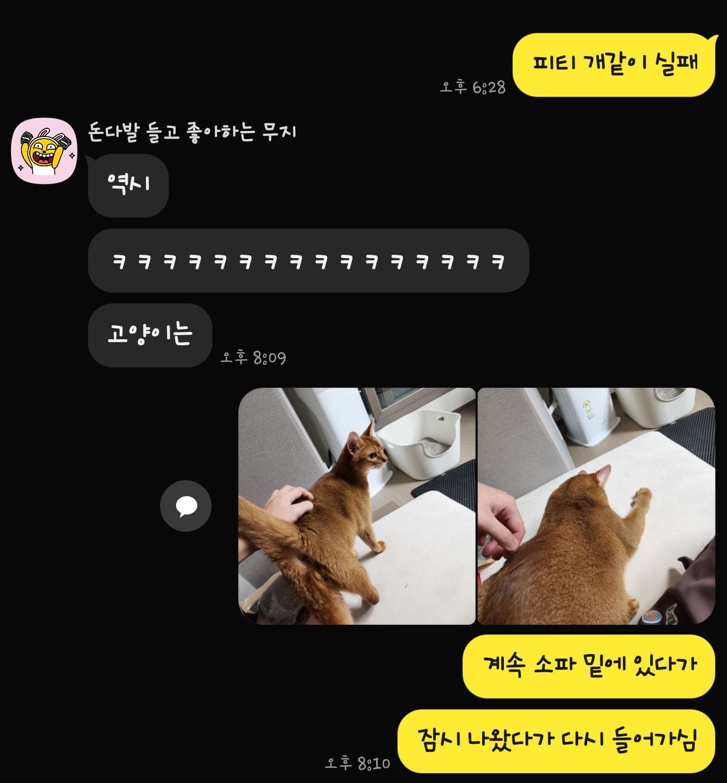 KakaoTalk_20241127_210313605.jpg